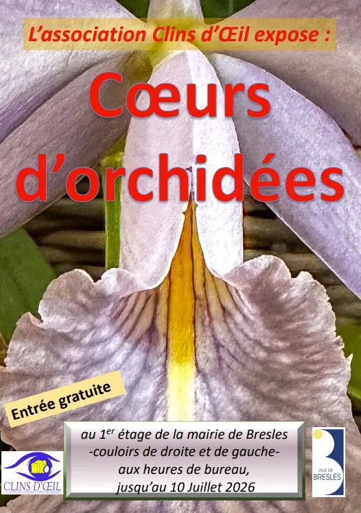 Lire la suite de l'actualité 🌸 Cœurs d’orchidées 🌸